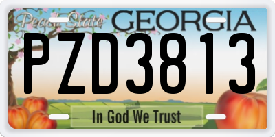 GA license plate PZD3813