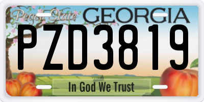 GA license plate PZD3819