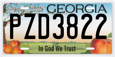 GA license plate PZD3822