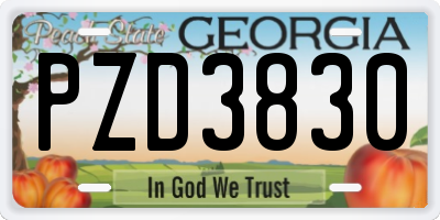 GA license plate PZD3830