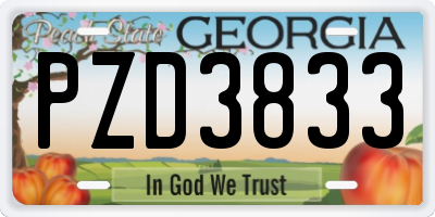 GA license plate PZD3833