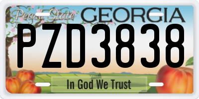 GA license plate PZD3838