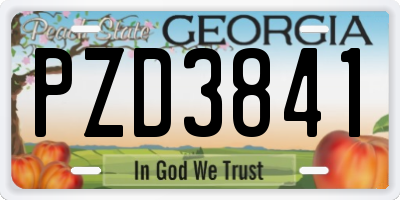 GA license plate PZD3841
