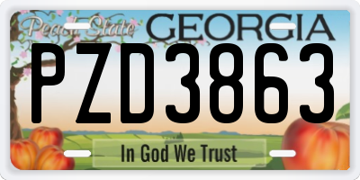 GA license plate PZD3863