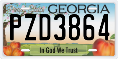 GA license plate PZD3864