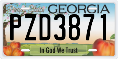 GA license plate PZD3871