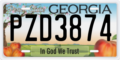 GA license plate PZD3874