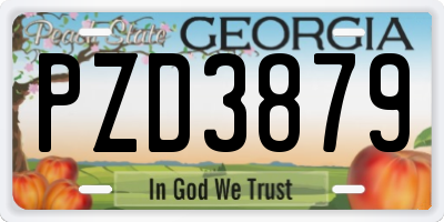 GA license plate PZD3879