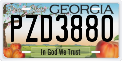 GA license plate PZD3880