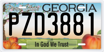 GA license plate PZD3881