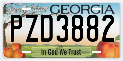 GA license plate PZD3882