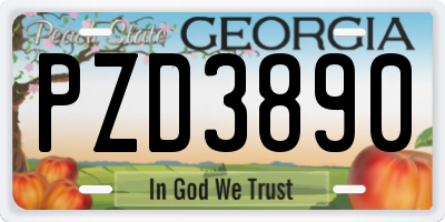 GA license plate PZD3890