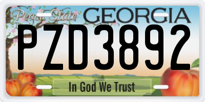 GA license plate PZD3892