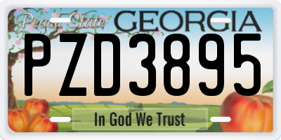 GA license plate PZD3895