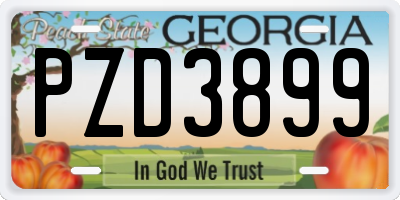 GA license plate PZD3899