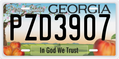 GA license plate PZD3907