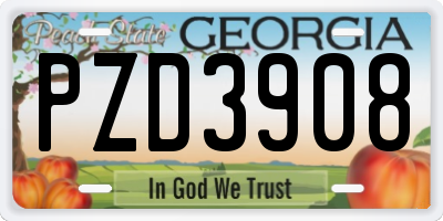 GA license plate PZD3908