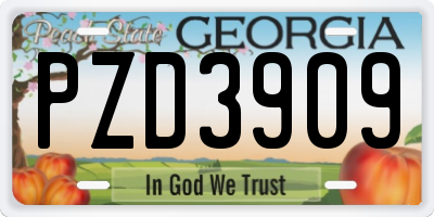 GA license plate PZD3909