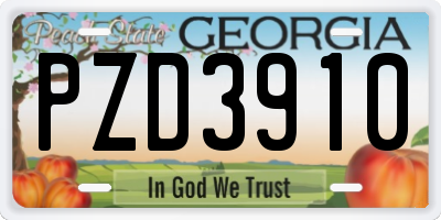 GA license plate PZD3910