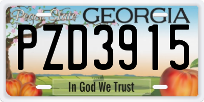 GA license plate PZD3915