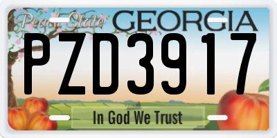 GA license plate PZD3917
