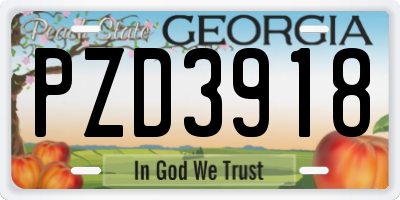 GA license plate PZD3918