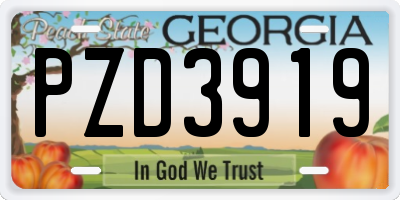 GA license plate PZD3919