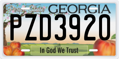 GA license plate PZD3920