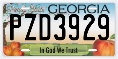 GA license plate PZD3929