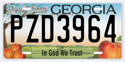 GA license plate PZD3964