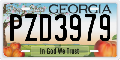 GA license plate PZD3979