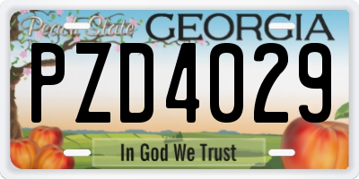 GA license plate PZD4029