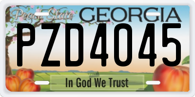 GA license plate PZD4045