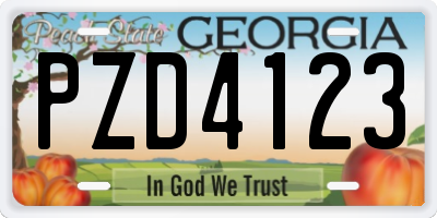 GA license plate PZD4123