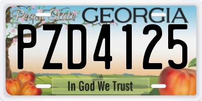GA license plate PZD4125