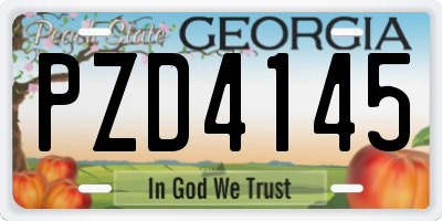 GA license plate PZD4145