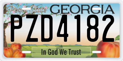 GA license plate PZD4182