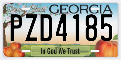GA license plate PZD4185