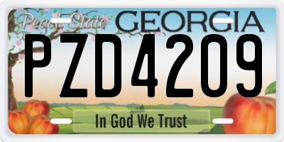 GA license plate PZD4209