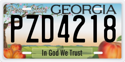 GA license plate PZD4218