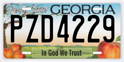 GA license plate PZD4229
