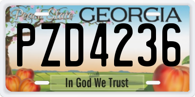 GA license plate PZD4236