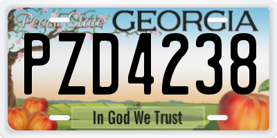 GA license plate PZD4238