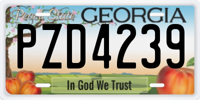 GA license plate PZD4239