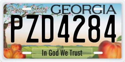 GA license plate PZD4284