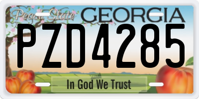 GA license plate PZD4285