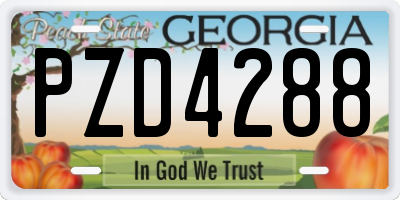 GA license plate PZD4288