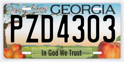 GA license plate PZD4303
