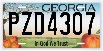 GA license plate PZD4307