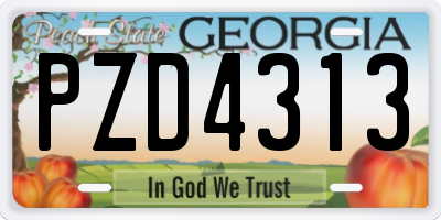 GA license plate PZD4313